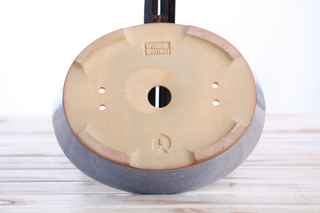 Willow Bonsai Ceramics Oval A Bonsai Pot 8 Inch – Straight‑Sided Oval Ceramic Bonsai & Succulent Planter, High‑Fired Frost‑Proof Stoneware with Drainage & Wiring Holes, Handmade in USA (Denim)