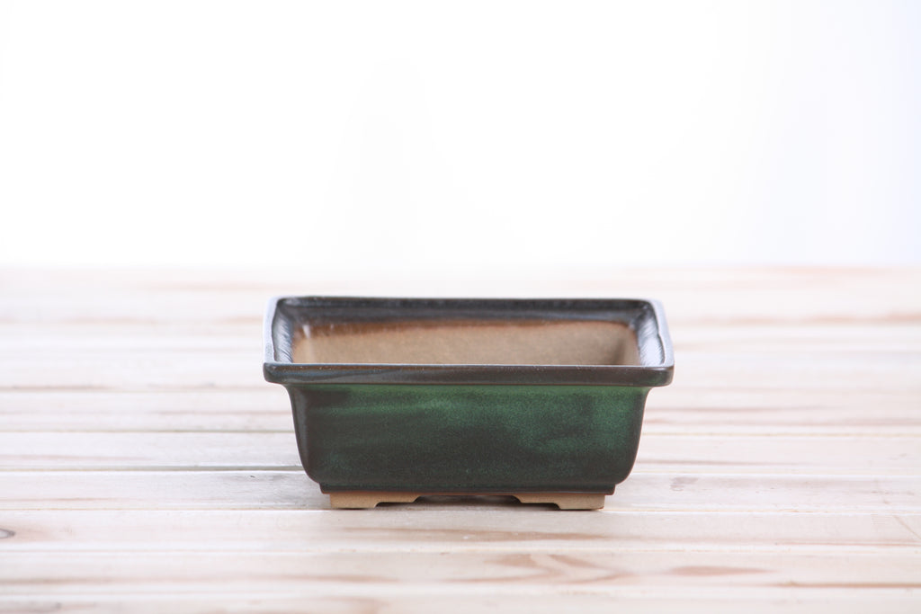 Willow Bonsai Ceramics Square Bonsai Pot 5 Inch – Low‑Profile Square Ceramic Bonsai & Succulent Planter with Accentuated Rim, High‑Fired Frost‑Proof Stoneware, Handmade in USA (Avocado)