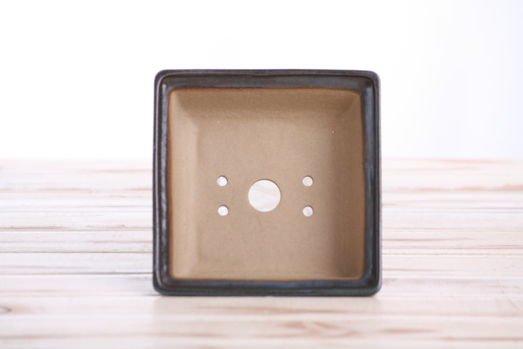 Willow Bonsai Ceramics Square Bonsai Pot 5 Inch – Low‑Profile Square Ceramic Bonsai & Succulent Planter with Accentuated Rim, High‑Fired Frost‑Proof Stoneware, Handmade in USA (Avocado)
