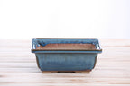 Willow Bonsai Ceramics Square Bonsai Pot 6 Inch – Low‑Profile Square Ceramic Bonsai & Succulent Planter with Accentuated Rim, High‑Fired Frost‑Proof Stoneware, Handmade in USA (Peacock 2025)