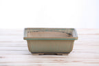 Willow Bonsai Ceramics Square Bonsai Pot 6 Inch – Low‑Profile Square Ceramic Bonsai & Succulent Planter with Accentuated Rim, High‑Fired Frost‑Proof Stoneware, Handmade in USA (Speckled Moss)