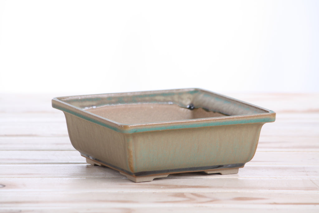 Willow Bonsai Ceramics Square Bonsai Pot 6 Inch – Low‑Profile Square Ceramic Bonsai & Succulent Planter with Accentuated Rim, High‑Fired Frost‑Proof Stoneware, Handmade in USA (Speckled Moss)