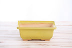 Willow Bonsai Ceramics Square Bonsai Pot 6 Inch – Low‑Profile Square Ceramic Bonsai & Succulent Planter with Accentuated Rim, High‑Fired Frost‑Proof Stoneware, Handmade in USA (Yellow)