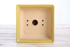 Willow Bonsai Ceramics Square Bonsai Pot 6 Inch – Low‑Profile Square Ceramic Bonsai & Succulent Planter with Accentuated Rim, High‑Fired Frost‑Proof Stoneware, Handmade in USA (Yellow)
