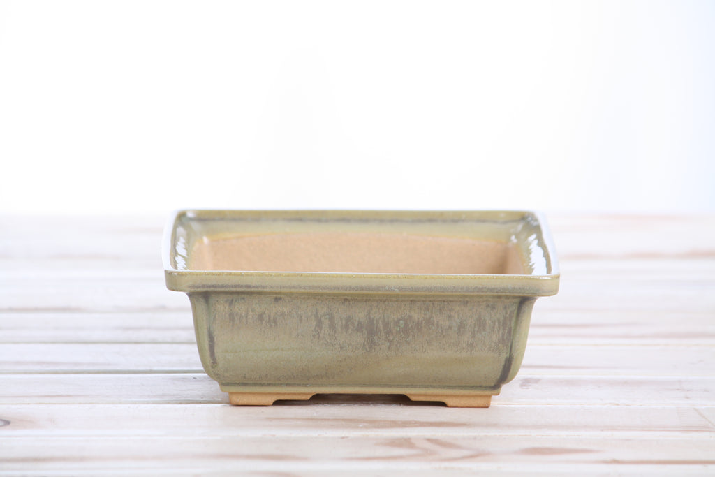 Willow Bonsai Ceramics Square Bonsai Pot 6 Inch – Low‑Profile Square Ceramic Bonsai & Succulent Planter with Accentuated Rim, High‑Fired Frost‑Proof Stoneware, Handmade in USA (Copenhagen)