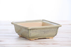 Willow Bonsai Ceramics Square Bonsai Pot 6 Inch – Low‑Profile Square Ceramic Bonsai & Succulent Planter with Accentuated Rim, High‑Fired Frost‑Proof Stoneware, Handmade in USA (Copenhagen)
