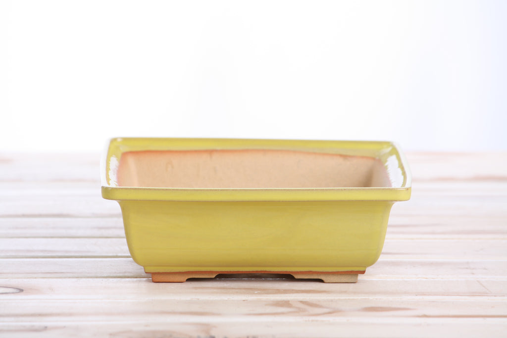 Willow Bonsai Ceramics Square Bonsai Pot 7 Inch – Low‑Profile Square Ceramic Bonsai & Succulent Planter with Accentuated Rim, High‑Fired Frost‑Proof Stoneware, Handmade in USA (Yellow)