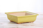 Willow Bonsai Ceramics Square Bonsai Pot 7 Inch – Low‑Profile Square Ceramic Bonsai & Succulent Planter with Accentuated Rim, High‑Fired Frost‑Proof Stoneware, Handmade in USA (Yellow)