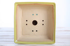Willow Bonsai Ceramics Square Bonsai Pot 7 Inch – Low‑Profile Square Ceramic Bonsai & Succulent Planter with Accentuated Rim, High‑Fired Frost‑Proof Stoneware, Handmade in USA (Yellow)