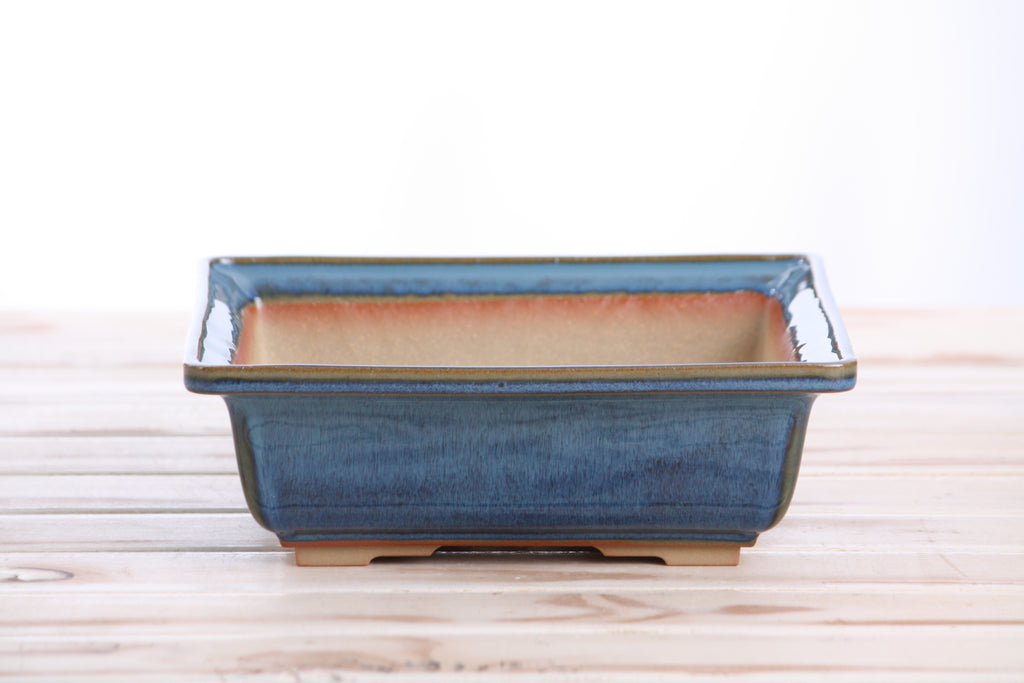 Willow Bonsai Ceramics Square Bonsai Pot 8 Inch – Low‑Profile Square Ceramic Bonsai & Succulent Planter with Accentuated Rim, High‑Fired Frost‑Proof Stoneware, Handmade in USA (Peacock 2025)
