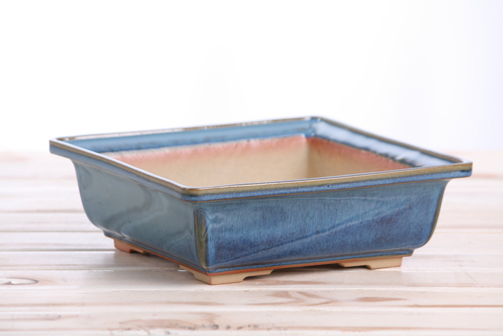 Willow Bonsai Ceramics Square Bonsai Pot 8 Inch – Low‑Profile Square Ceramic Bonsai & Succulent Planter with Accentuated Rim, High‑Fired Frost‑Proof Stoneware, Handmade in USA (Peacock 2025)