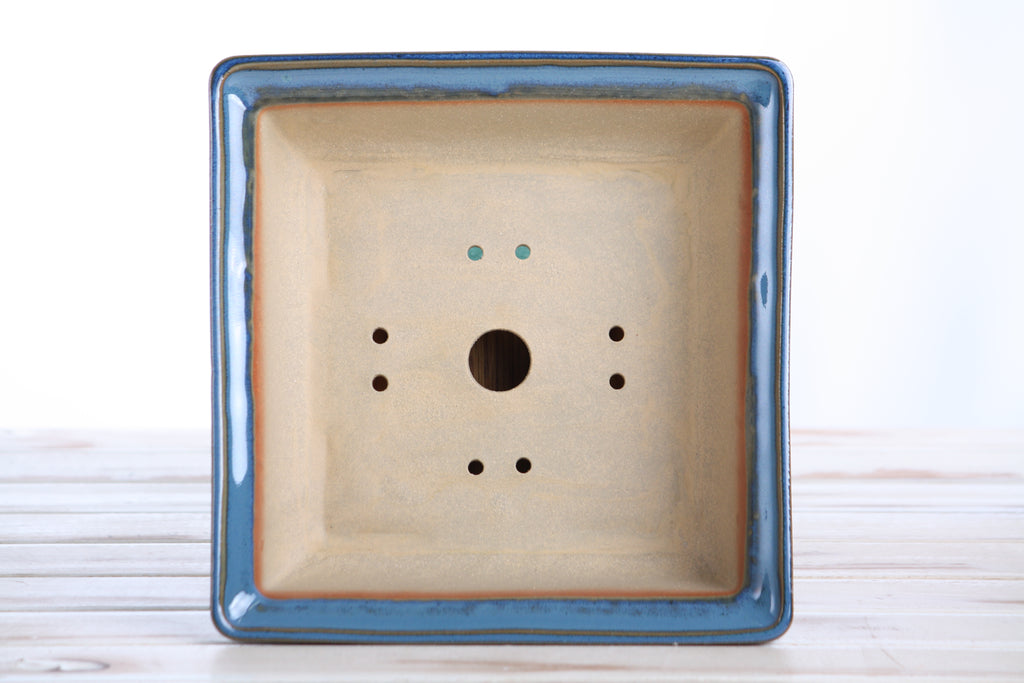 Willow Bonsai Ceramics Square Bonsai Pot 8 Inch – Low‑Profile Square Ceramic Bonsai & Succulent Planter with Accentuated Rim, High‑Fired Frost‑Proof Stoneware, Handmade in USA (Peacock 2025)