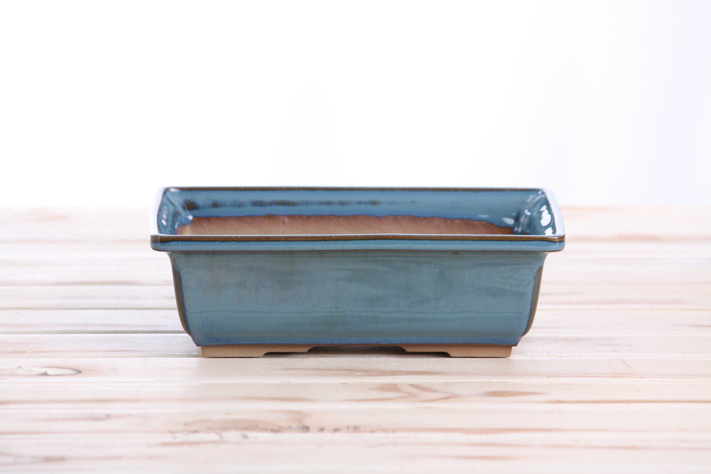 Willow Bonsai Ceramics Rectangle Bonsai Pot 8 Inch – Lower‑Profile Rectangular Ceramic Bonsai & Succulent Planter with Accentuated Rim, High‑Fired Frost‑Proof Stoneware, Handmade in USA (Peacock)
