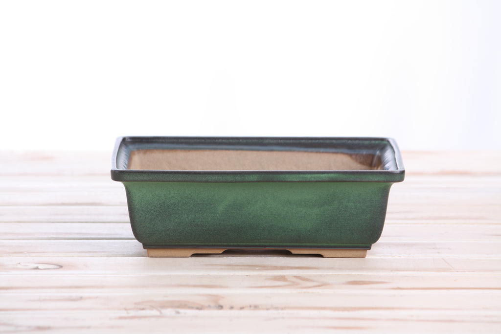 Willow Bonsai Ceramics Rectangle Bonsai Pot 8 Inch – Lower‑Profile Rectangular Ceramic Bonsai & Succulent Planter with Accentuated Rim, High‑Fired Frost‑Proof Stoneware, Handmade in USA (Avocado)