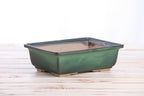 Willow Bonsai Ceramics Rectangle Bonsai Pot 8 Inch – Lower‑Profile Rectangular Ceramic Bonsai & Succulent Planter with Accentuated Rim, High‑Fired Frost‑Proof Stoneware, Handmade in USA (Avocado)