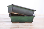 Willow Bonsai Ceramics Rectangle Bonsai Pot 8 Inch – Lower‑Profile Rectangular Ceramic Bonsai & Succulent Planter with Accentuated Rim, High‑Fired Frost‑Proof Stoneware, Handmade in USA (Avocado)