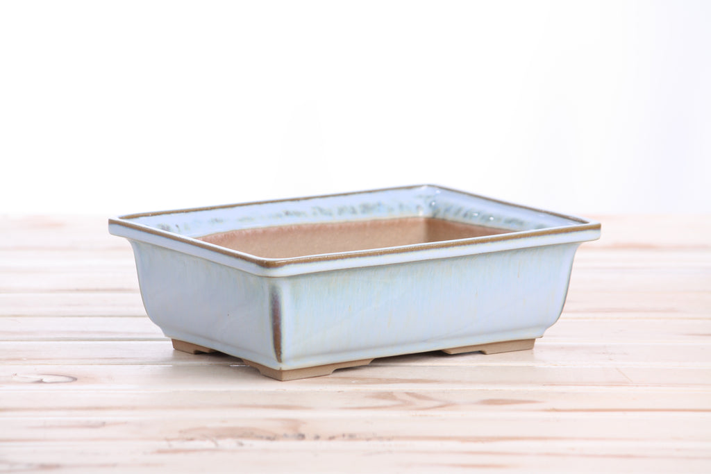 Willow Bonsai Ceramics Rectangle Bonsai Pot 8 Inch – Lower‑Profile Rectangular Ceramic Bonsai & Succulent Planter with Accentuated Rim, High‑Fired Frost‑Proof Stoneware, Handmade in USA (Glacier)
