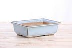 Willow Bonsai Ceramics Rectangle Bonsai Pot 8 Inch – Lower‑Profile Rectangular Ceramic Bonsai & Succulent Planter with Accentuated Rim, High‑Fired Frost‑Proof Stoneware, Handmade in USA (Glacier)