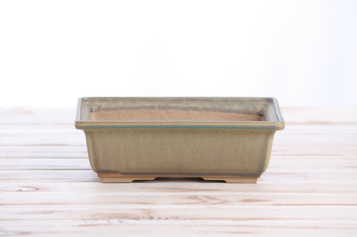 Willow Bonsai Ceramics Rectangle Bonsai Pot 8 Inch – Lower‑Profile Rectangular Ceramic Bonsai & Succulent Planter with Accentuated Rim, High‑Fired Frost‑Proof Stoneware, Handmade in USA (Speckled Moss)