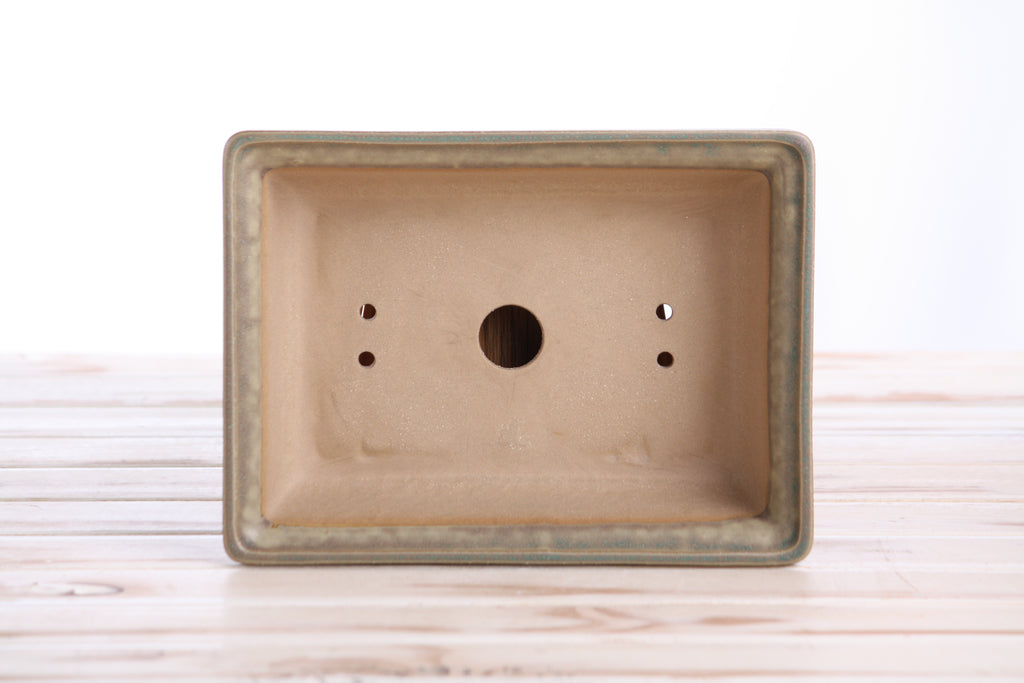 Willow Bonsai Ceramics Rectangle Bonsai Pot 8 Inch – Lower‑Profile Rectangular Ceramic Bonsai & Succulent Planter with Accentuated Rim, High‑Fired Frost‑Proof Stoneware, Handmade in USA (Speckled Moss)