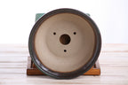 Willow Bonsai Ceramics Round Bonsai Pot 6 Inch – Round Ceramic Bonsai & Succulent Planter with Accentuated Rim and Sculpted Foot Ring, High‑Fired Frost‑Proof Stoneware, Handmade in USA (Avocado)