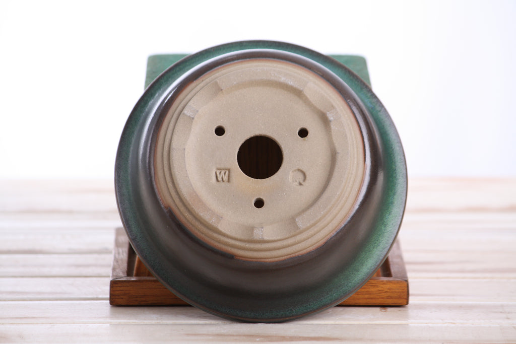 Willow Bonsai Ceramics Round Bonsai Pot 6 Inch – Round Ceramic Bonsai & Succulent Planter with Accentuated Rim and Sculpted Foot Ring, High‑Fired Frost‑Proof Stoneware, Handmade in USA (Avocado)