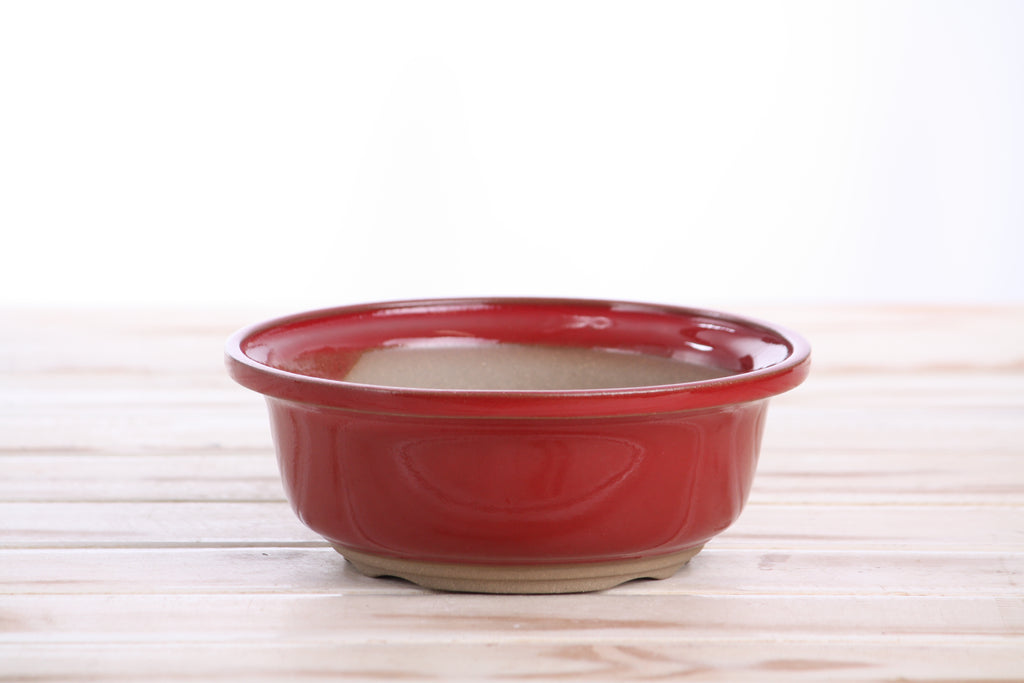 Willow Bonsai Ceramics Round Bonsai Pot 6 Inch – Round Ceramic Bonsai & Succulent Planter with Accentuated Rim and Sculpted Foot Ring, High‑Fired Frost‑Proof Stoneware, Handmade in USA (Red)