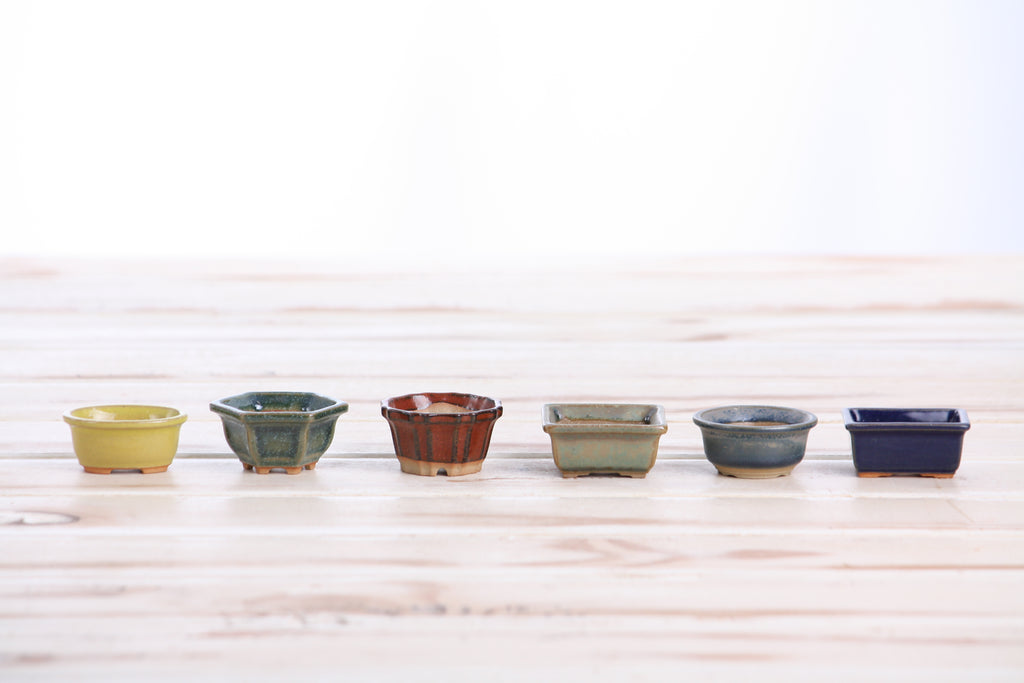 Willow Bonsai Ceramics 1.5 Inch Shito Bonsai Pot Set of 6 – Mini Handmade Ceramic Bonsai & Succulent Pots, High‑Fired Stoneware with Drainage, Made in USA (Set B)