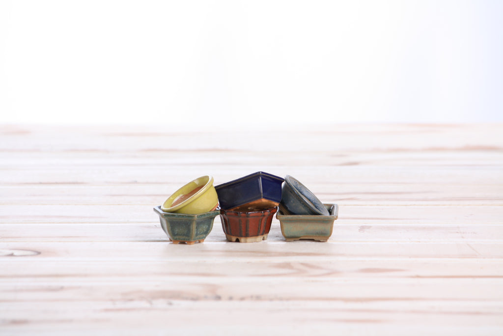 Willow Bonsai Ceramics 1.5 Inch Shito Bonsai Pot Set of 6 – Mini Handmade Ceramic Bonsai & Succulent Pots, High‑Fired Stoneware with Drainage, Made in USA (Set B)