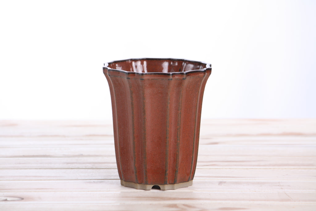 Willow Bonsai Ceramics Flower Design Cascade Bonsai Pot 4.5 Inch – Elegant Tall Ceramic Bonsai & Succulent Planter, High‑Fired Frost‑Proof Stoneware with Drainage & Wiring Holes, Handmade in USA (Sunset)