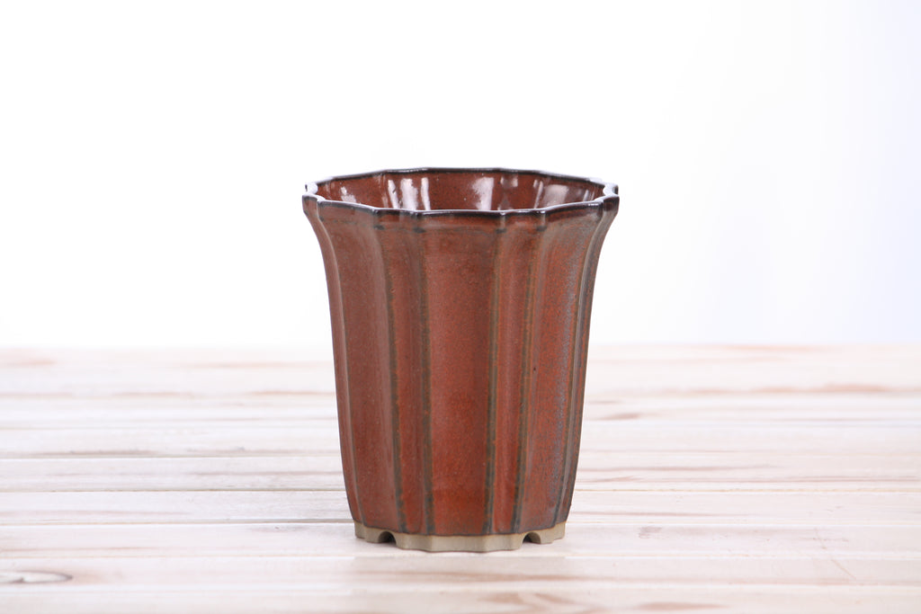 Willow Bonsai Ceramics Flower Design Cascade Bonsai Pot 4.5 Inch – Elegant Tall Ceramic Bonsai & Succulent Planter, High‑Fired Frost‑Proof Stoneware with Drainage & Wiring Holes, Handmade in USA (Sunset)