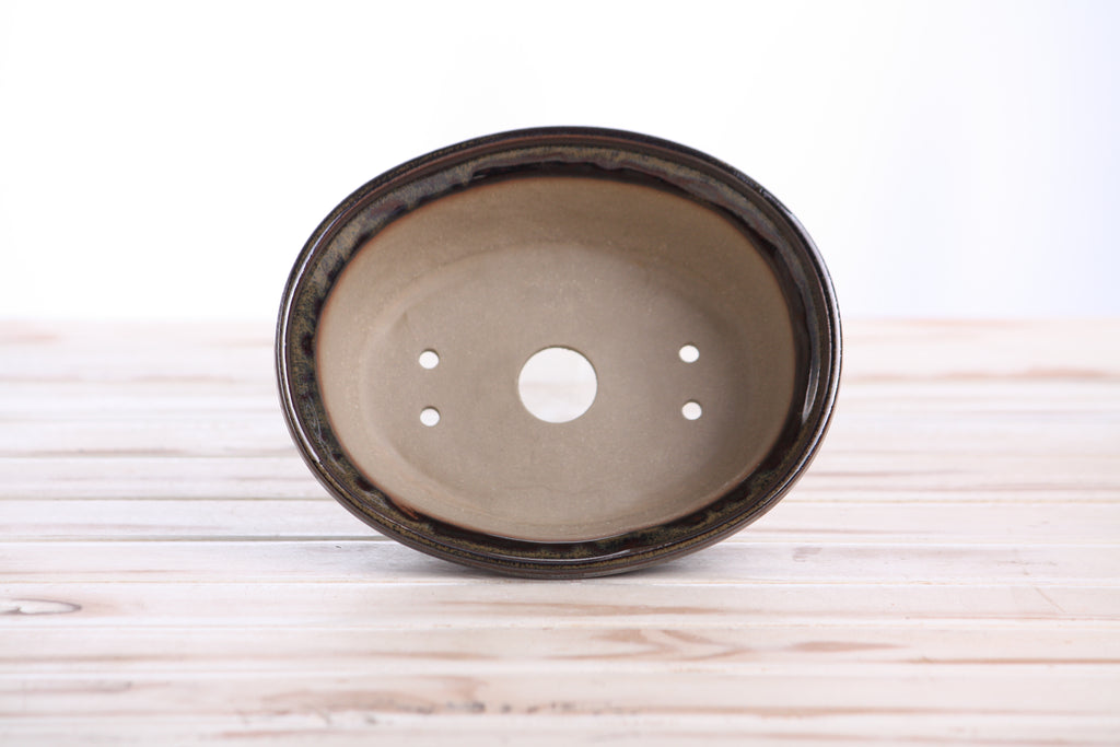 Willow Bonsai Ceramics Fat Bonsai Pot 6.5 Inch – Bold Oval Ceramic Bonsai & Succulent Planter with Accentuated Rim, High‑Fired Frost‑Proof Stoneware, Handmade in USA (Dark Honey)