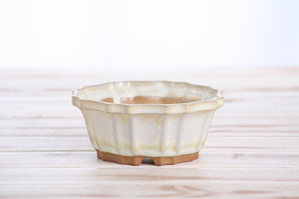 Willow Bonsai Ceramics Flower Design Bonsai Pot 4.5 Inch – Elegant Ceramic Bonsai & Succulent Planter, High‑Fired Frost‑Proof Stoneware with Drainage & Wiring Holes, Handmade in USA (Limited Edition 1)