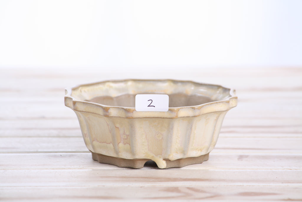 Willow Bonsai Ceramics Flower Design Bonsai Pot 5 Inch – Elegant Ceramic Bonsai & Succulent Planter, High‑Fired Frost‑Proof Stoneware with Drainage & Wiring Holes, Handmade in USA (Limited Edition 2)