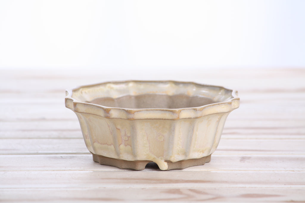 Willow Bonsai Ceramics Flower Design Bonsai Pot 5 Inch – Elegant Ceramic Bonsai & Succulent Planter, High‑Fired Frost‑Proof Stoneware with Drainage & Wiring Holes, Handmade in USA (Limited Edition 2)