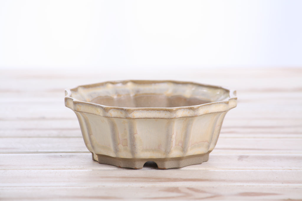 Willow Bonsai Ceramics Flower Design Bonsai Pot 5 Inch – Elegant Ceramic Bonsai & Succulent Planter, High‑Fired Frost‑Proof Stoneware with Drainage & Wiring Holes, Handmade in USA (Limited Edition 2)