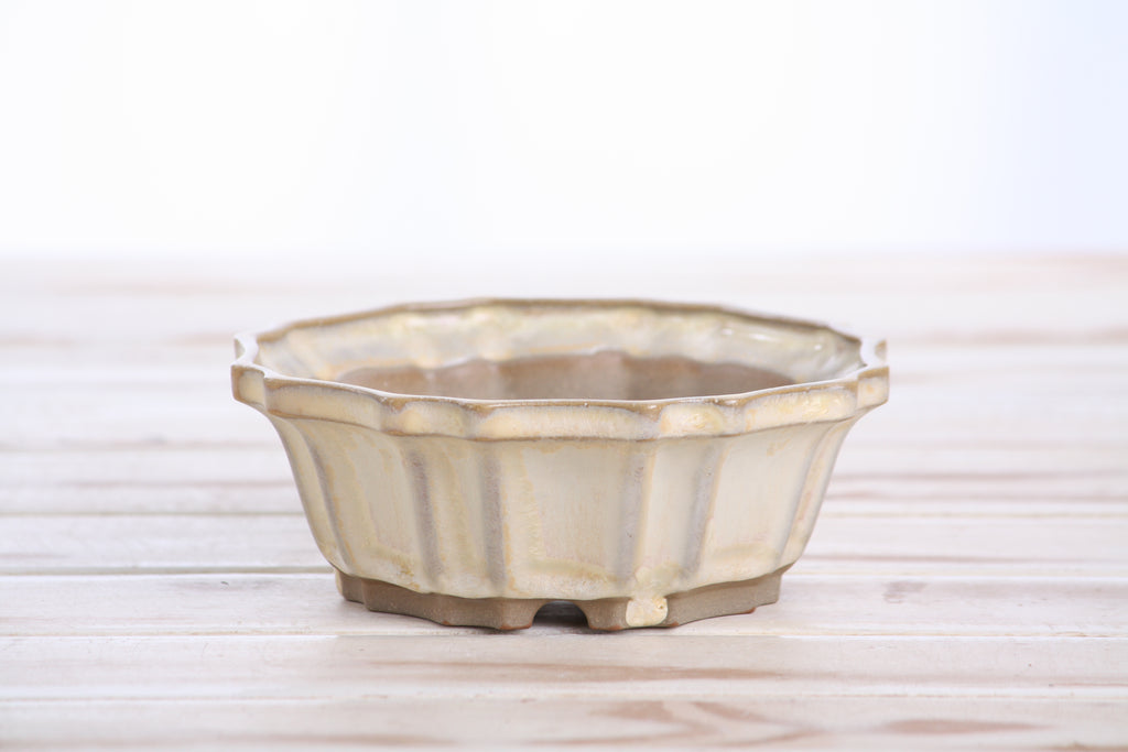 Willow Bonsai Ceramics Flower Design Bonsai Pot 5 Inch – Elegant Ceramic Bonsai & Succulent Planter, High‑Fired Frost‑Proof Stoneware with Drainage & Wiring Holes, Handmade in USA (Limited Edition 2)