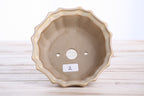 Willow Bonsai Ceramics Flower Design Bonsai Pot 5 Inch – Elegant Ceramic Bonsai & Succulent Planter, High‑Fired Frost‑Proof Stoneware with Drainage & Wiring Holes, Handmade in USA (Limited Edition 2)