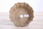 Willow Bonsai Ceramics Flower Design Bonsai Pot 5 Inch – Elegant Ceramic Bonsai & Succulent Planter, High‑Fired Frost‑Proof Stoneware with Drainage & Wiring Holes, Handmade in USA (Limited Edition 7)
