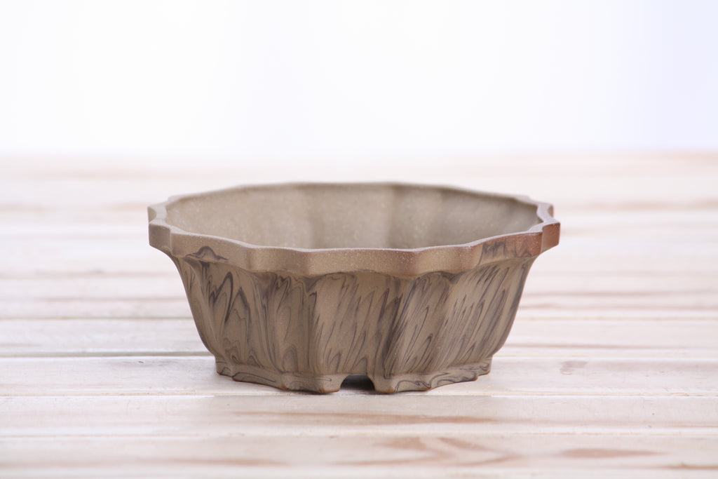 Willow Bonsai Ceramics Flower Design Bonsai Pot 5 Inch – Elegant Ceramic Bonsai & Succulent Planter, High‑Fired Frost‑Proof Stoneware with Drainage & Wiring Holes, Handmade in USA (Limited Edition 8)