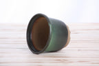 Willow Bonsai Ceramics Flute Bonsai Pot 4 Inch – Round Semi‑Cascade Ceramic Bonsai & Succulent Planter with Fluted Profile and Banded Base, High‑Fired Frost‑Proof Stoneware, Handmade in USA (Avocado)