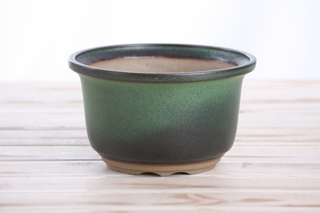 Willow Bonsai Ceramics Flute Bonsai Pot 6 Inch – Round Semi‑Cascade Ceramic Bonsai & Succulent Planter with Fluted Profile and Banded Base, High‑Fired Frost‑Proof Stoneware, Handmade in USA (Avocado)