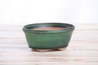 Willow Bonsai Ceramics Oval B Bonsai Pot 5.5 Inch – Tapered Oval Ceramic Bonsai & Succulent Planter with Accentuated Rim, High‑Fired Frost‑Proof Stoneware, Handmade in USA (Avocado)