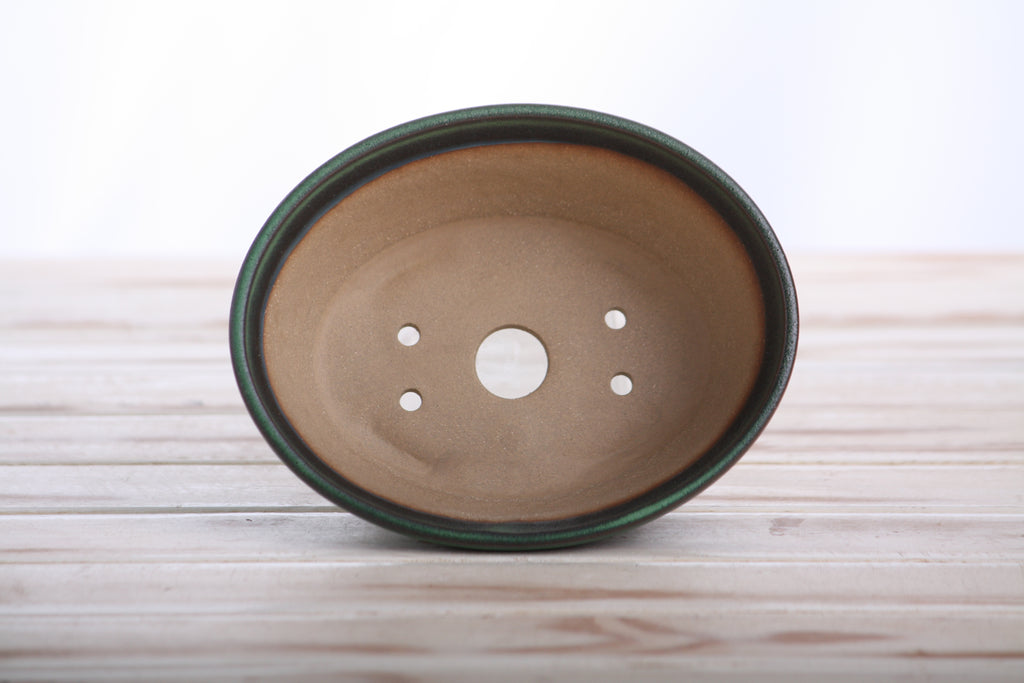 Willow Bonsai Ceramics Oval B Bonsai Pot 5.5 Inch – Tapered Oval Ceramic Bonsai & Succulent Planter with Accentuated Rim, High‑Fired Frost‑Proof Stoneware, Handmade in USA (Avocado)