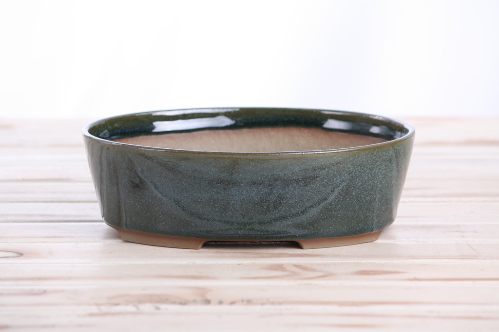 Willow Bonsai Ceramics Oval A Bonsai Pot 8 Inch – Straight‑Sided Oval Ceramic Bonsai & Succulent Planter, High‑Fired Frost‑Proof Stoneware with Drainage & Wiring Holes, Handmade in USA (Seaweed 2025)