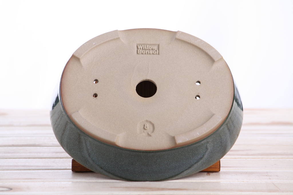 Willow Bonsai Ceramics Oval A Bonsai Pot 8 Inch – Straight‑Sided Oval Ceramic Bonsai & Succulent Planter, High‑Fired Frost‑Proof Stoneware with Drainage & Wiring Holes, Handmade in USA (Seaweed 2025)