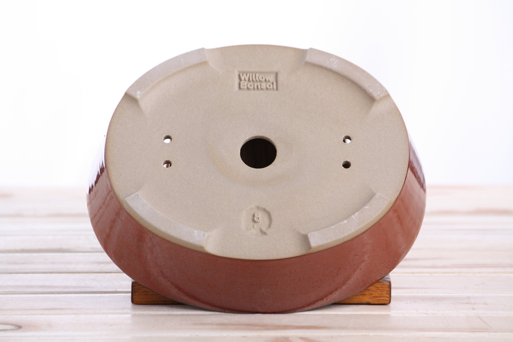 Willow Bonsai Ceramics Oval A Bonsai Pot 8 Inch – Straight‑Sided Oval Ceramic Bonsai & Succulent Planter, High‑Fired Frost‑Proof Stoneware with Drainage & Wiring Holes, Handmade in USA (Sunset)