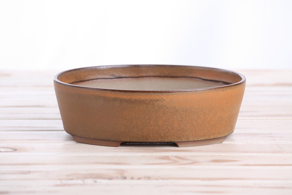 Willow Bonsai Ceramics Oval A Bonsai Pot 8 Inch – Straight‑Sided Oval Ceramic Bonsai & Succulent Planter, High‑Fired Frost‑Proof Stoneware with Drainage & Wiring Holes, Handmade in USA (Deep Stone)