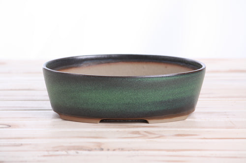 Willow Bonsai Ceramics Oval A Bonsai Pot 8 Inch – Straight‑Sided Oval Ceramic Bonsai & Succulent Planter, High‑Fired Frost‑Proof Stoneware with Drainage & Wiring Holes, Handmade in USA (Avocado)