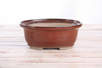 Willow Bonsai Ceramics Fat Bonsai Pot 7.5 Inch – Bold Oval Ceramic Bonsai & Succulent Planter with Accentuated Rim, High‑Fired Frost‑Proof Stoneware, Handmade in USA (Sunset)